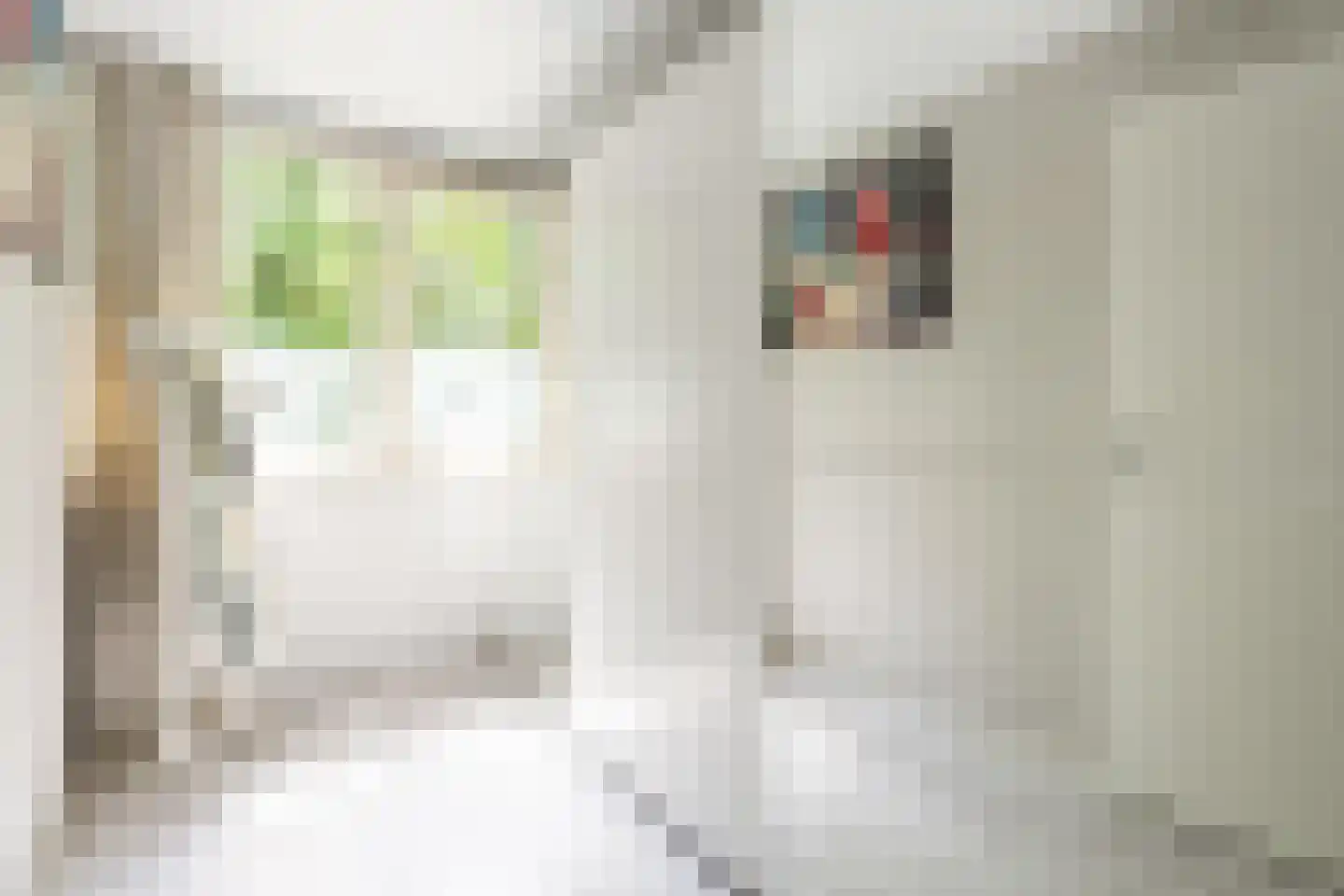 Wasbloem 11 Rotterdam thumbnail 29