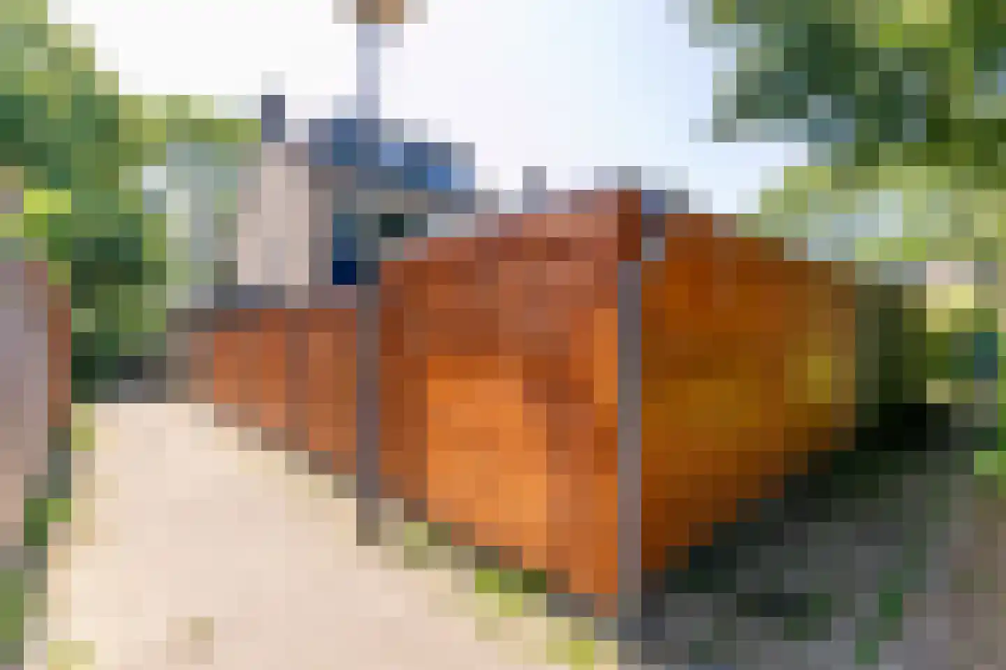 Wasbloem 11 Rotterdam thumbnail 39