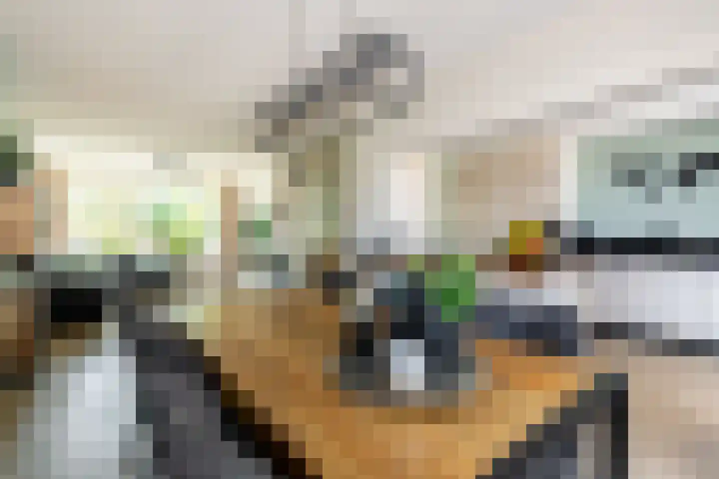 Wasbloem 11 Rotterdam thumbnail 4