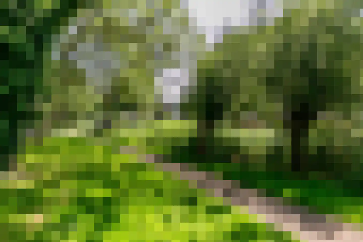 Wasbloem 11 Rotterdam thumbnail 41