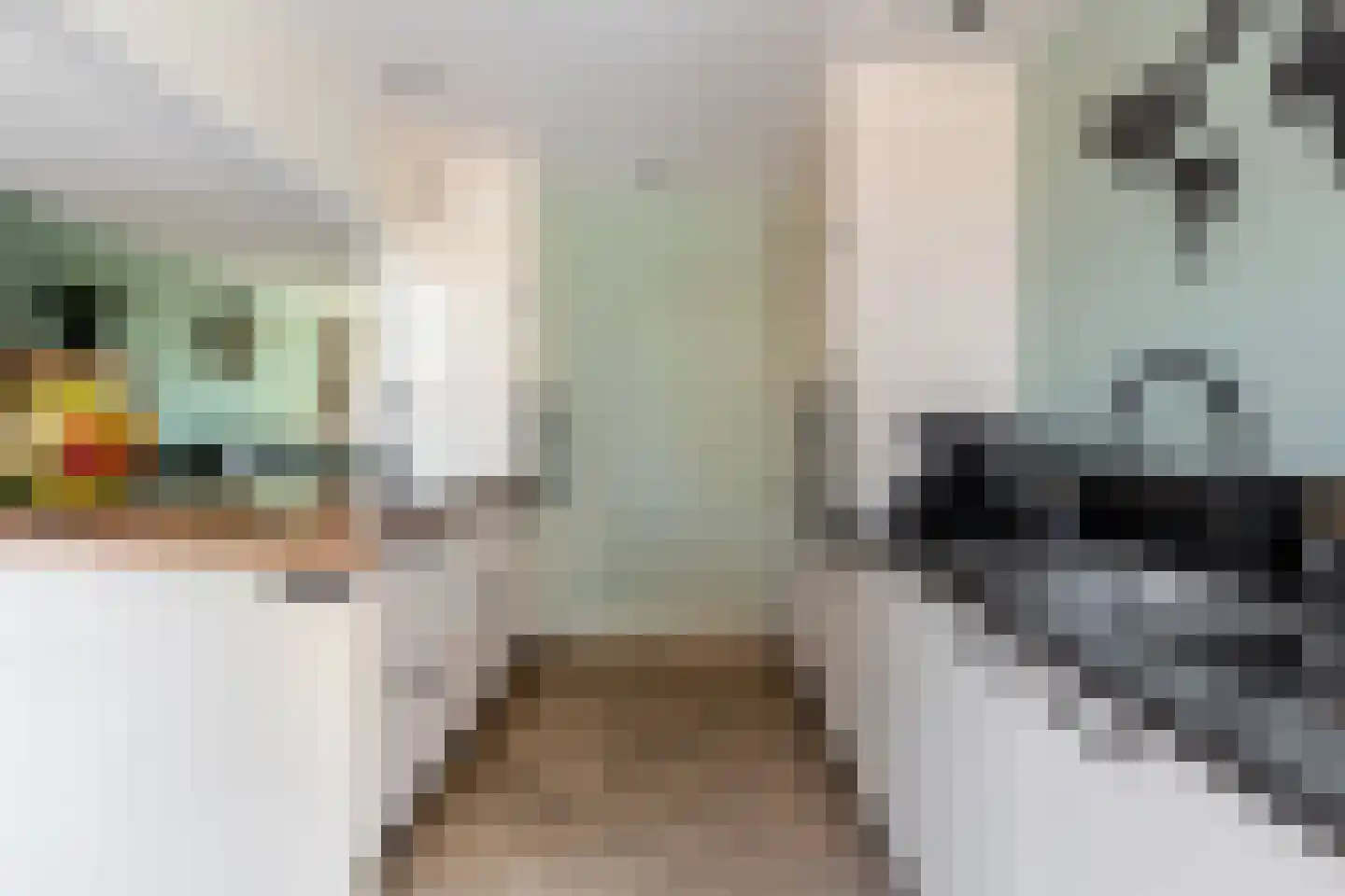 Wasbloem 11 Rotterdam thumbnail 5