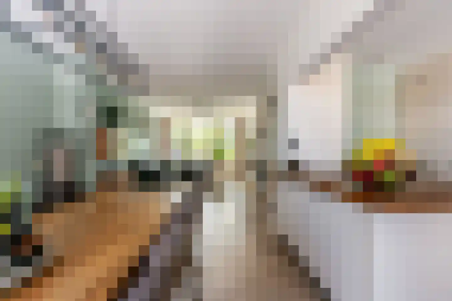 Wasbloem 11 Rotterdam thumbnail 8