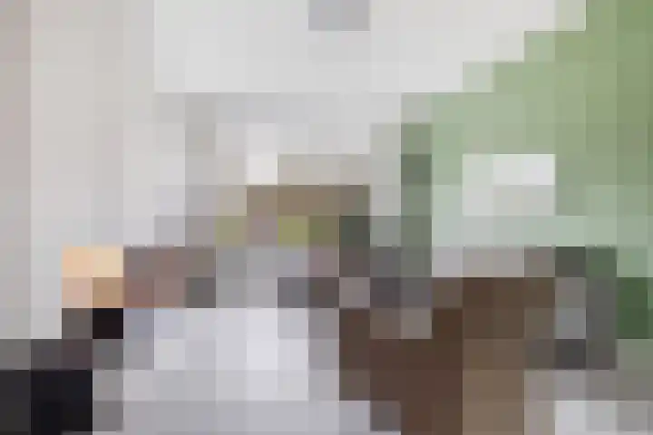Wasbloem 14 Rotterdam thumbnail 10