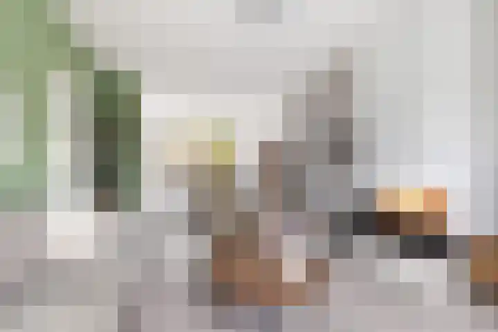 Wasbloem 14 Rotterdam thumbnail 12