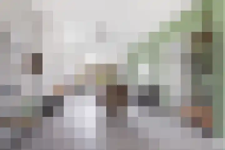 Wasbloem 14 Rotterdam thumbnail 14