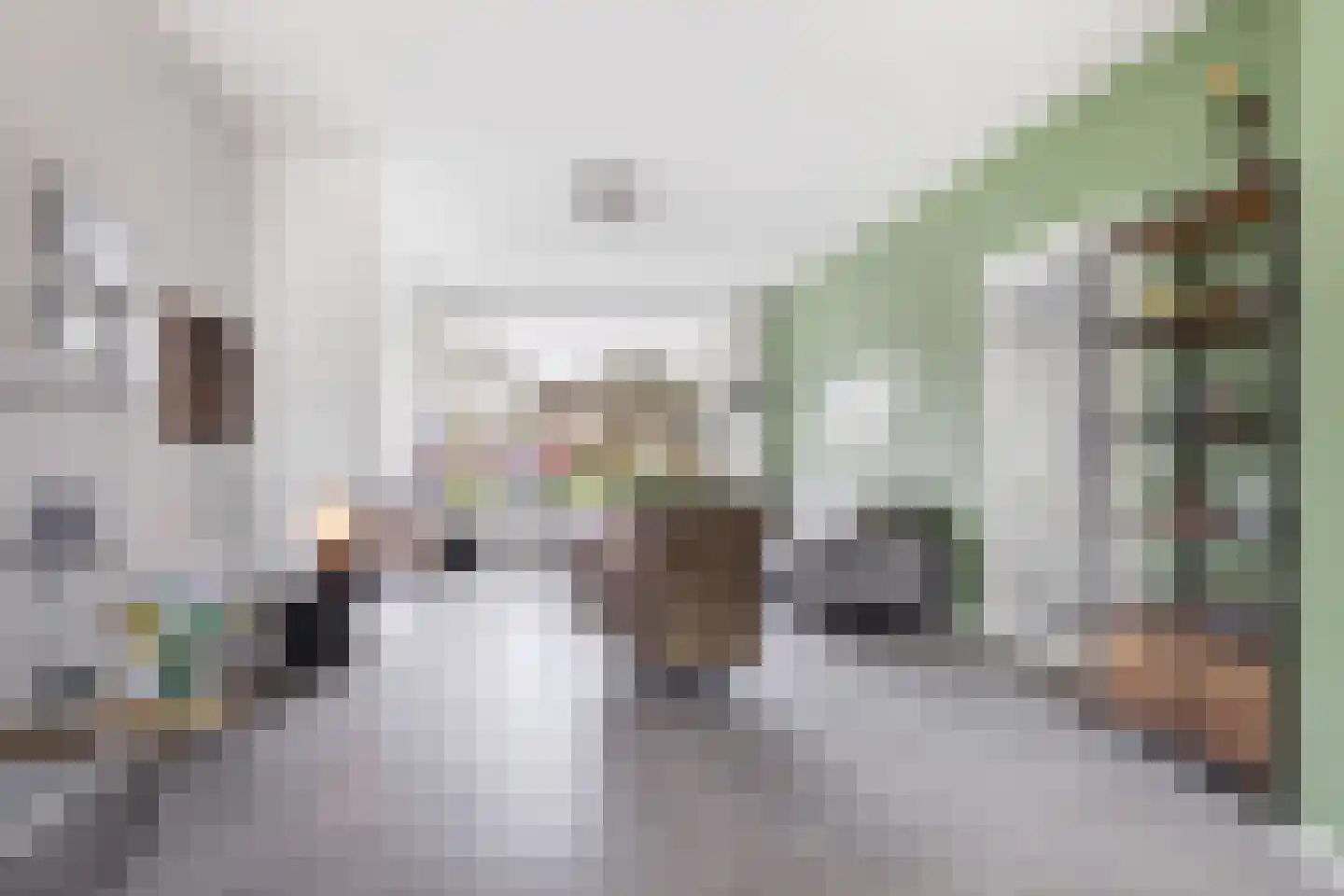 Wasbloem 14 Rotterdam thumbnail 14