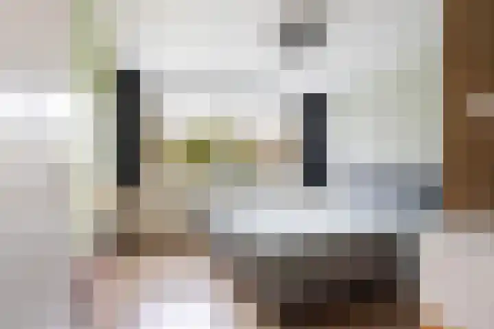 Wasbloem 14 Rotterdam thumbnail 19