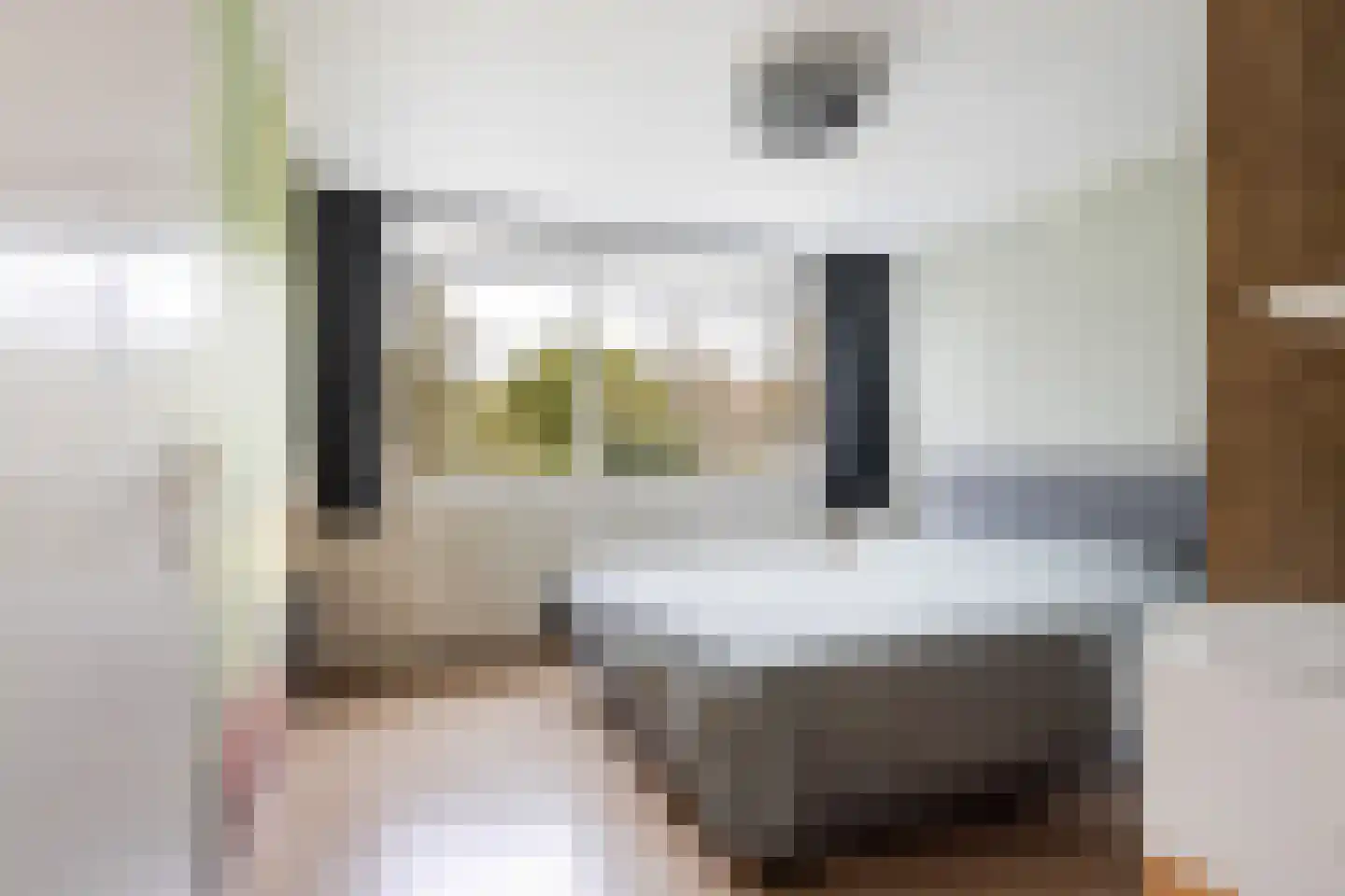 Wasbloem 14 Rotterdam thumbnail 19