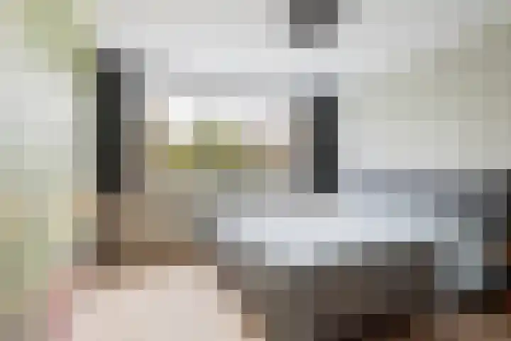 Wasbloem 14 Rotterdam thumbnail 20