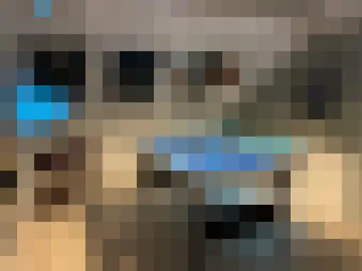 Wasbloem 14 Rotterdam thumbnail 34