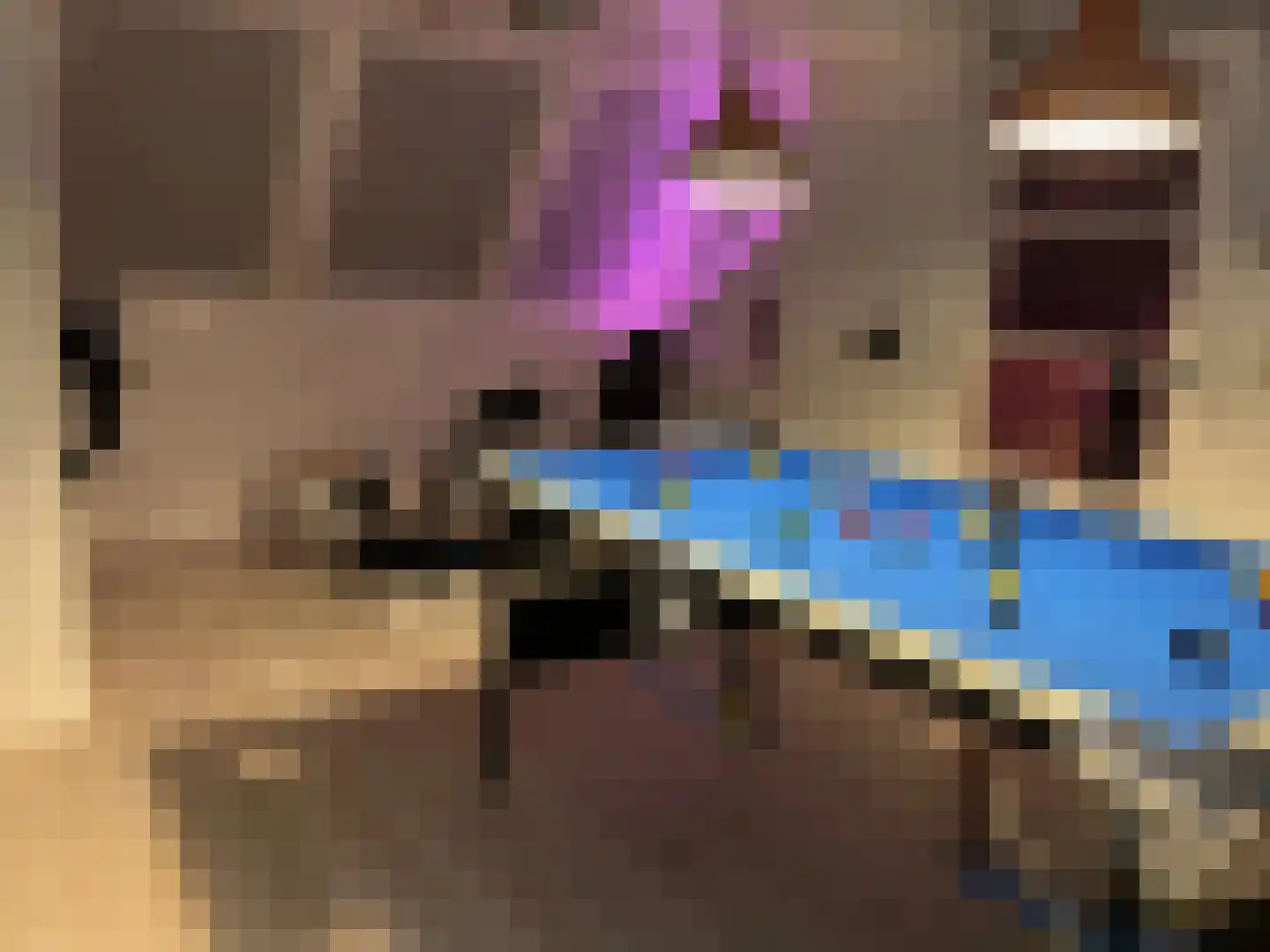 Wasbloem 14 Rotterdam thumbnail 35