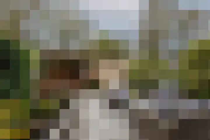 Wasbloem 14 Rotterdam thumbnail 36