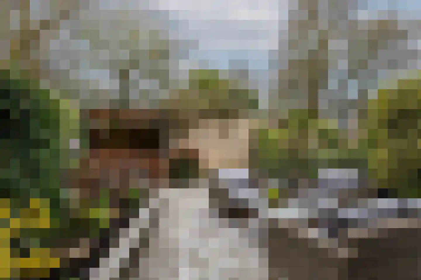 Wasbloem 14 Rotterdam thumbnail 36