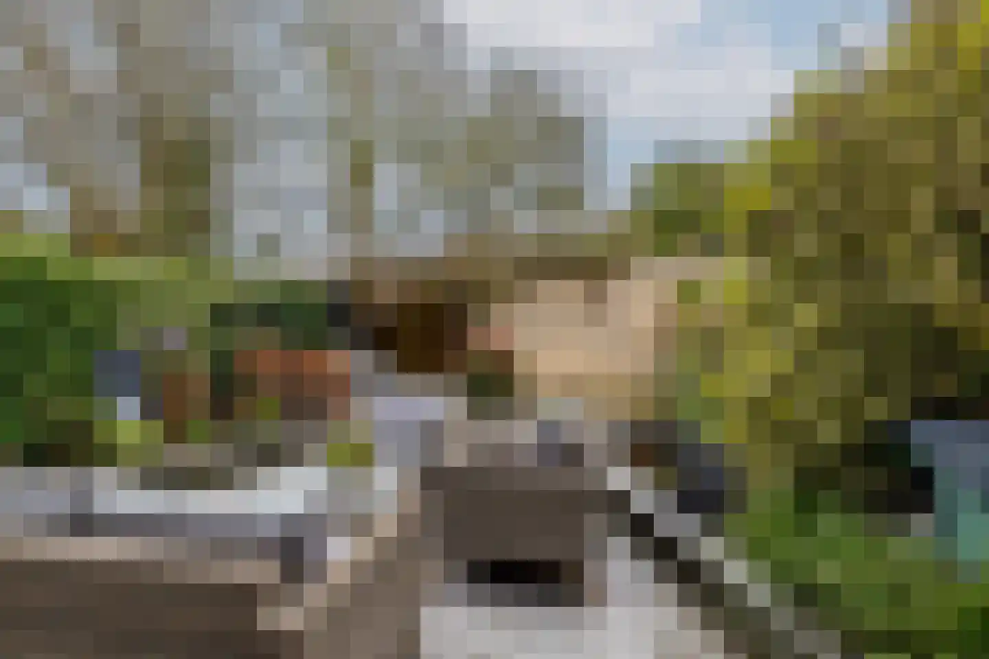 Wasbloem 14 Rotterdam thumbnail 37