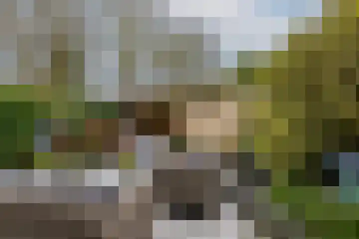Wasbloem 14 Rotterdam thumbnail 37