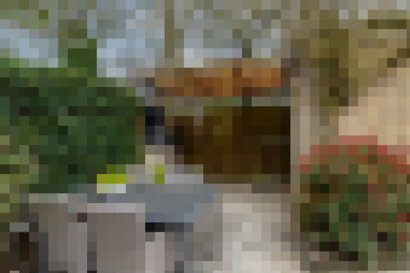 Wasbloem 14 Rotterdam thumbnail 38