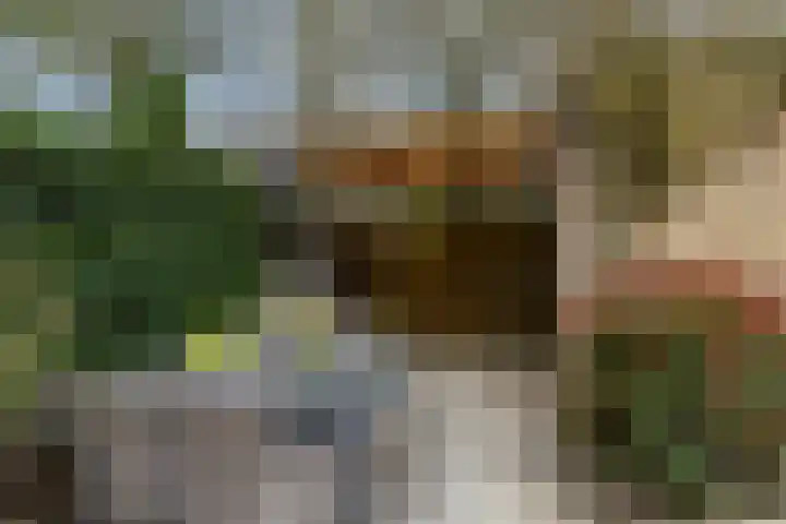 Wasbloem 14 Rotterdam thumbnail 38