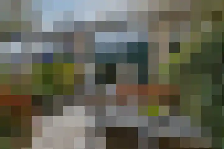 Wasbloem 14 Rotterdam thumbnail 40