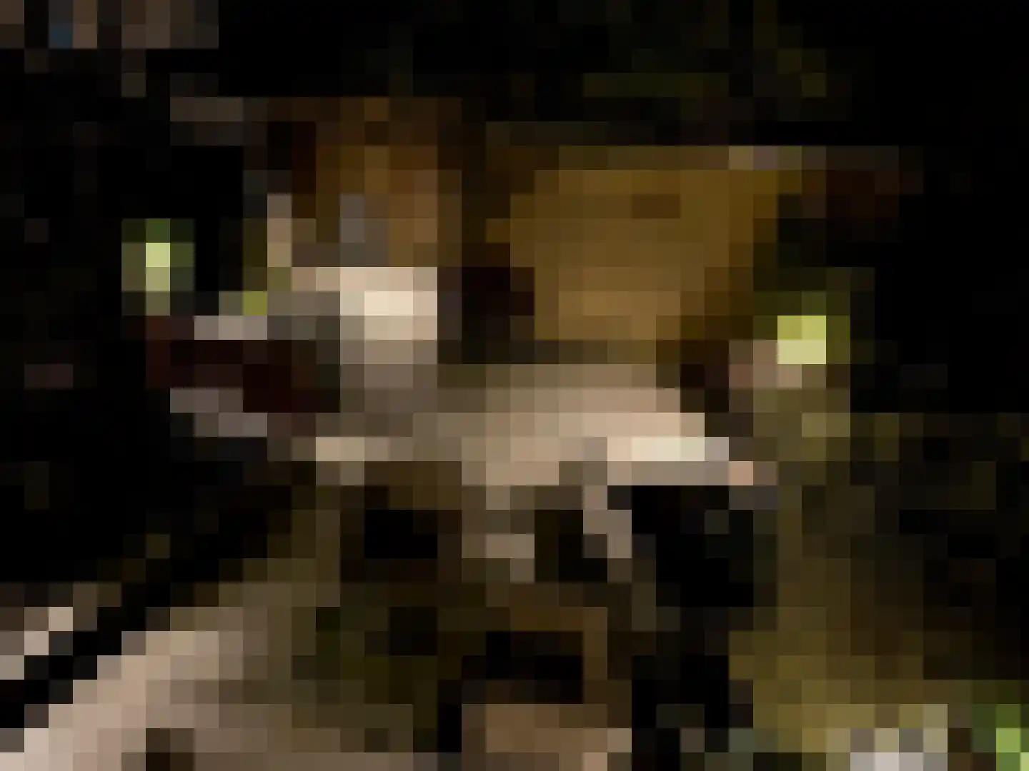 Wasbloem 14 Rotterdam thumbnail 43