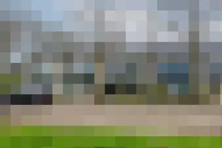 Wasbloem 14 Rotterdam thumbnail 46
