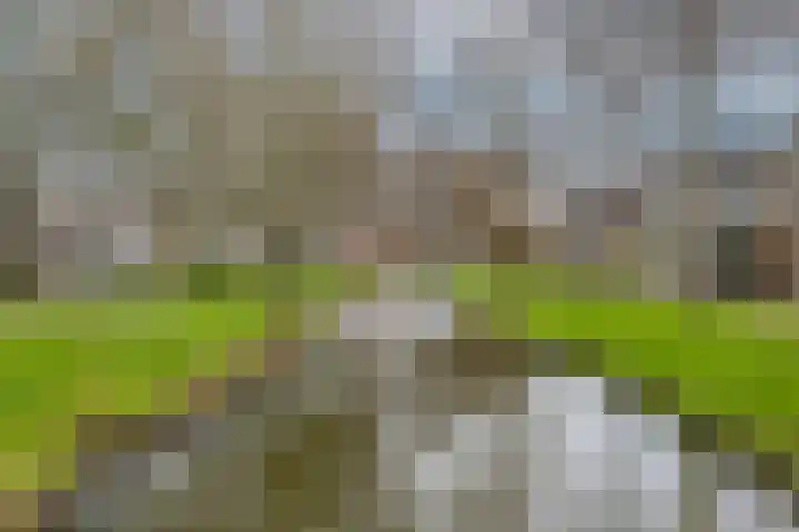 Wasbloem 14 Rotterdam thumbnail 48
