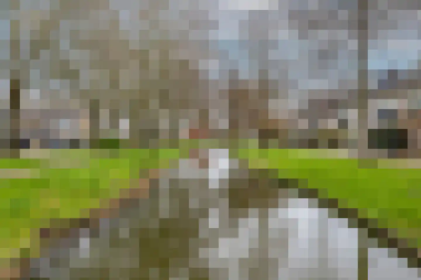 Wasbloem 14 Rotterdam thumbnail 48