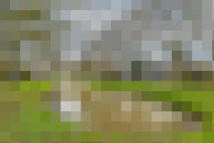 Wasbloem 14 Rotterdam thumbnail 49