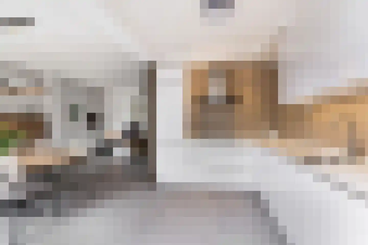 Wasbloem 14 Rotterdam thumbnail 5