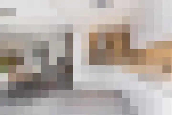 Wasbloem 14 Rotterdam thumbnail 5