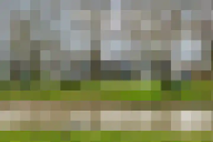 Wasbloem 14 Rotterdam thumbnail 50