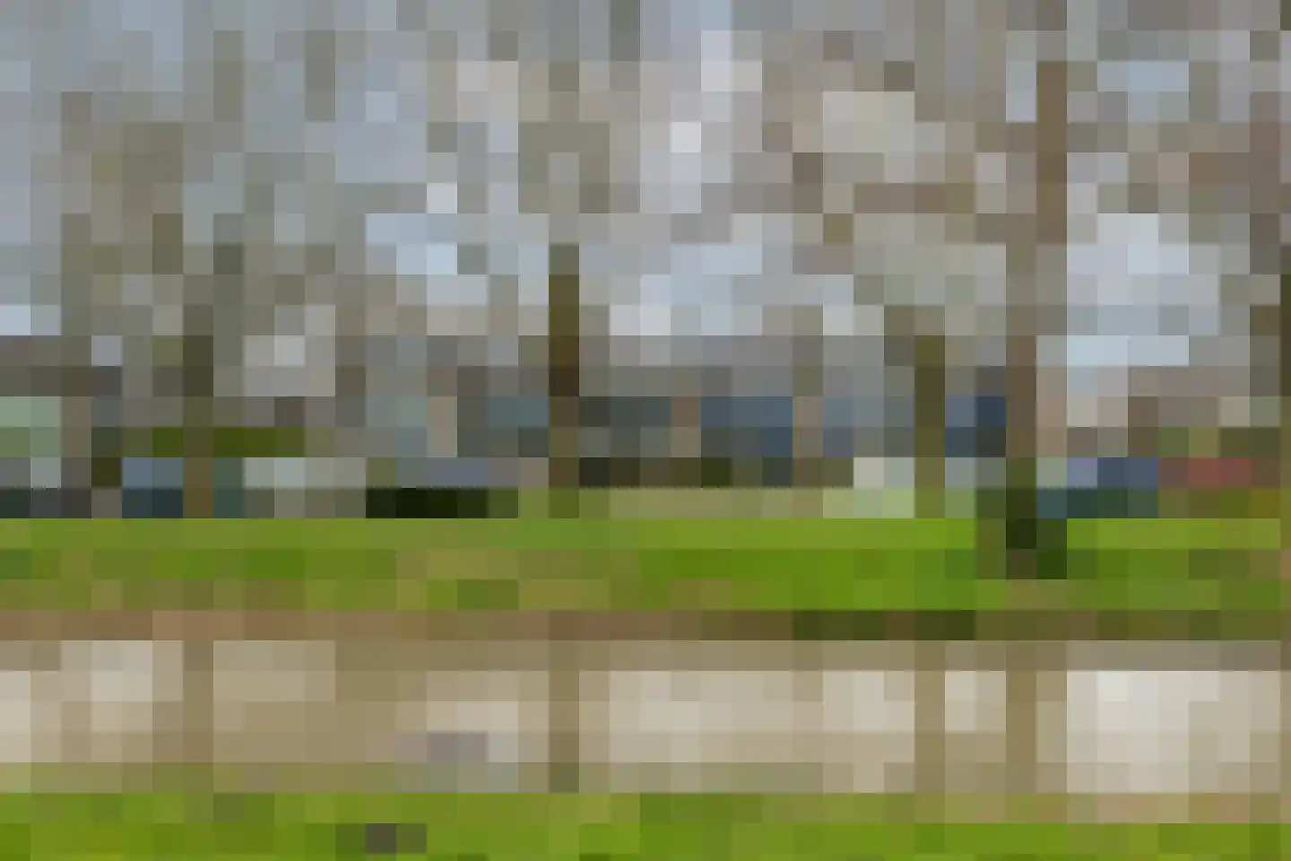 Wasbloem 14 Rotterdam thumbnail 50