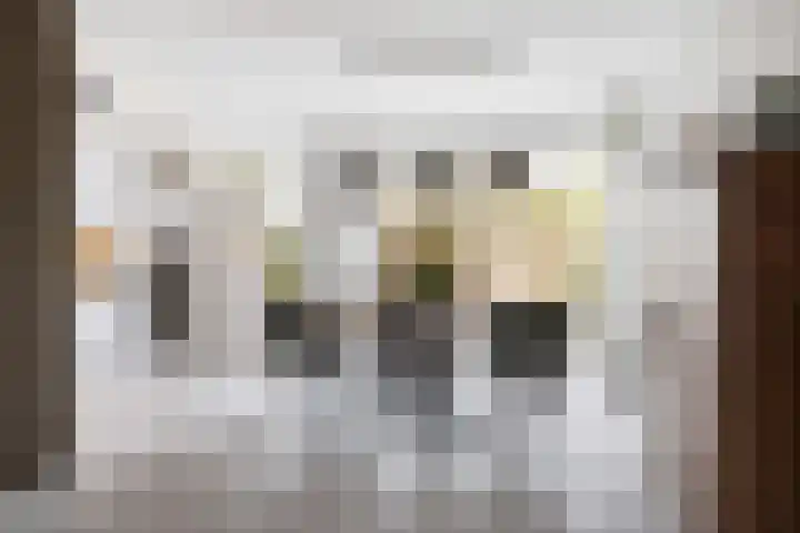 Wasbloem 14 Rotterdam thumbnail 7