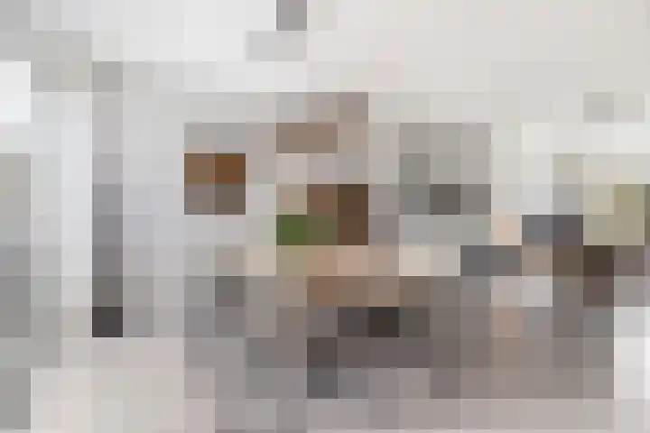 Wasbloem 14 Rotterdam thumbnail 8
