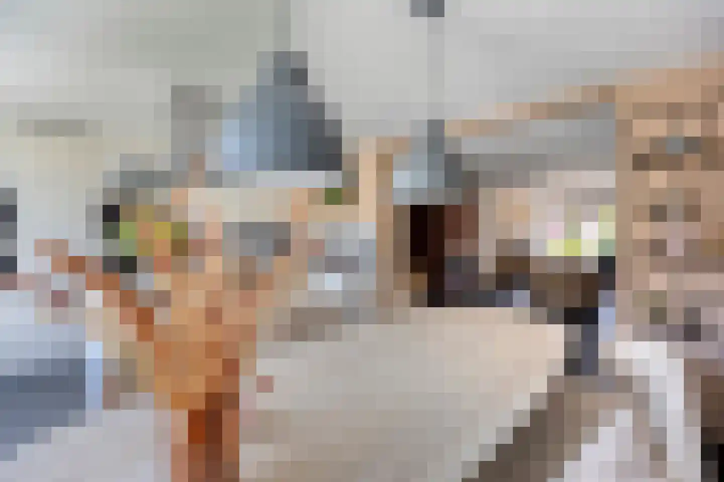 Wasbloem 7 Venray thumbnail 18