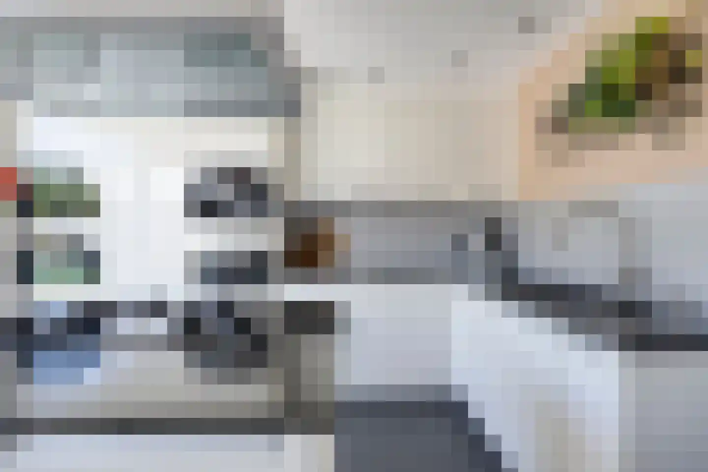 Wasbloem 7 Venray thumbnail 20