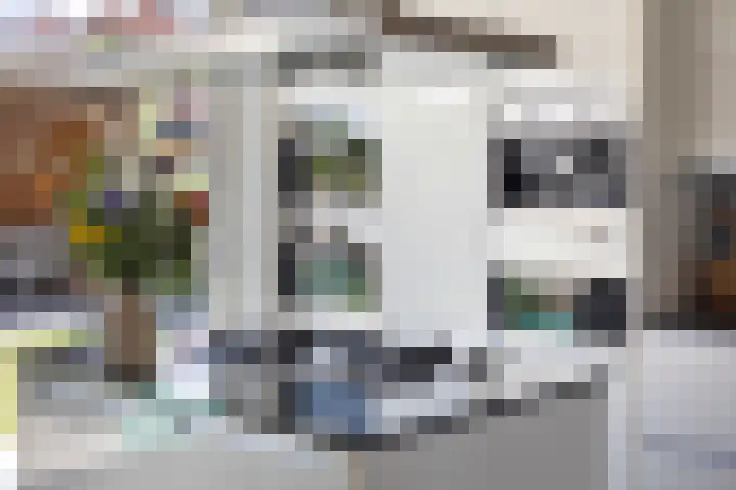 Wasbloem 7 Venray thumbnail 21