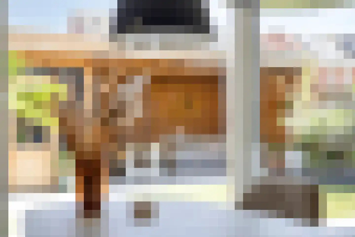Wasbloem 7 Venray thumbnail 23