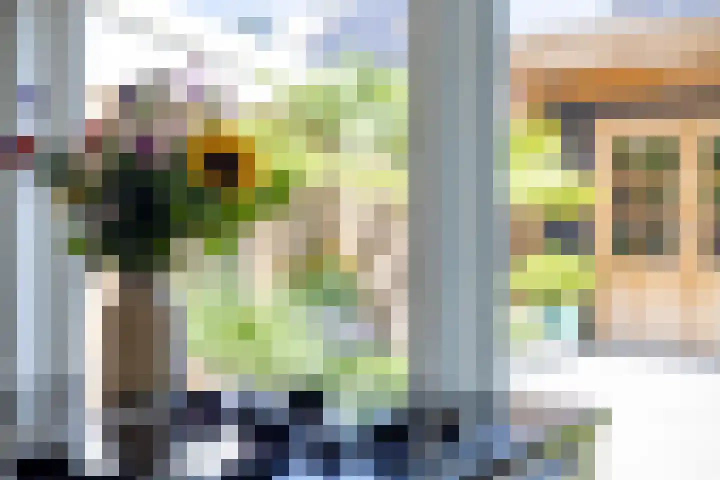 Wasbloem 7 Venray thumbnail 24