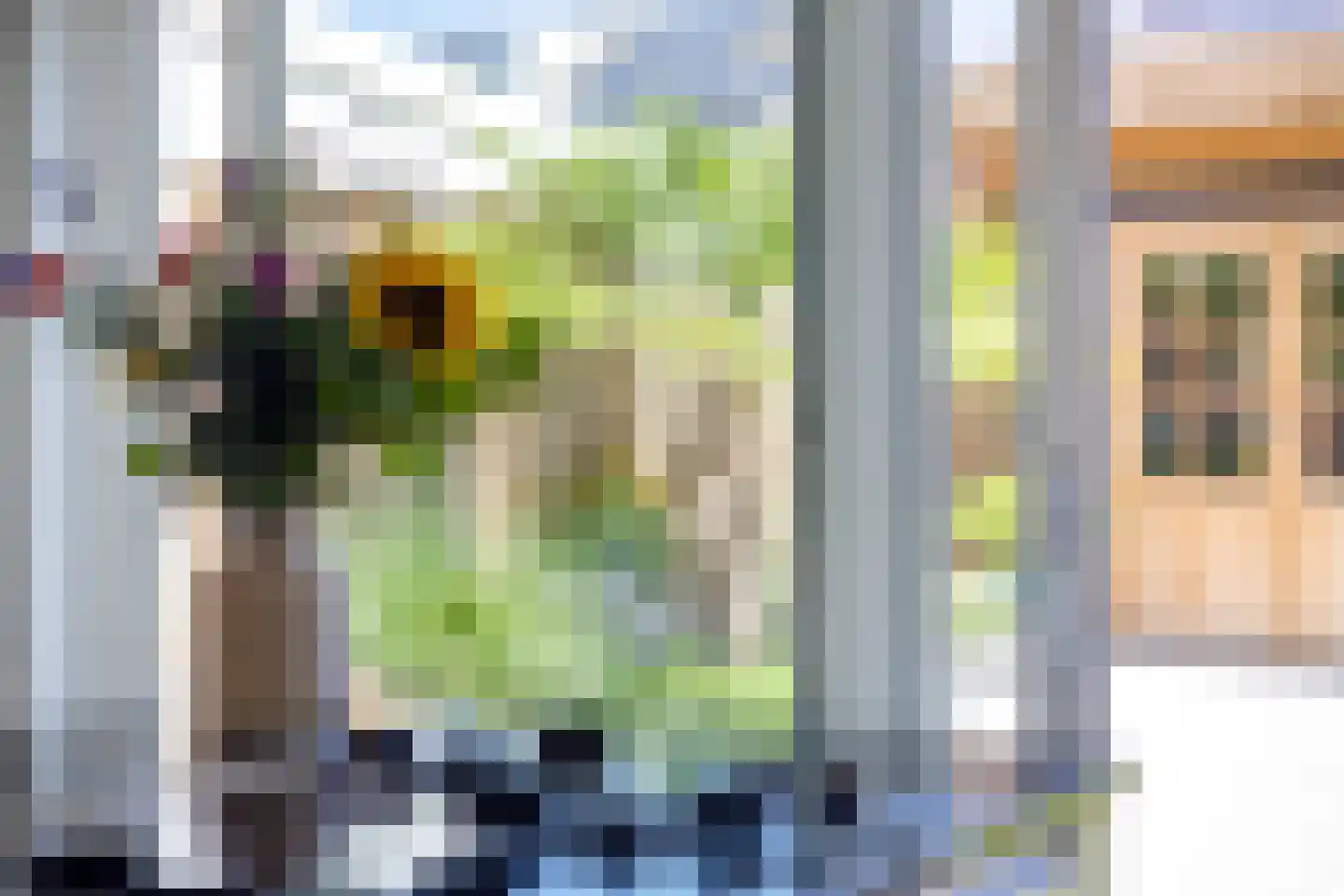 Wasbloem 7 Venray thumbnail 25