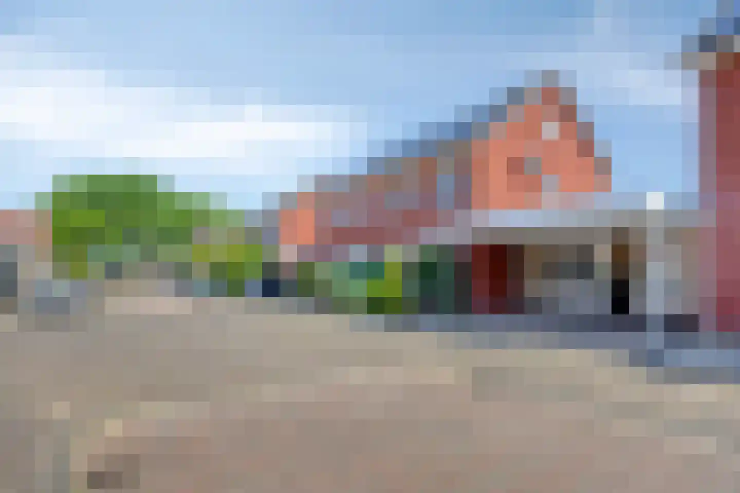 Wasbloem 7 Venray thumbnail 4