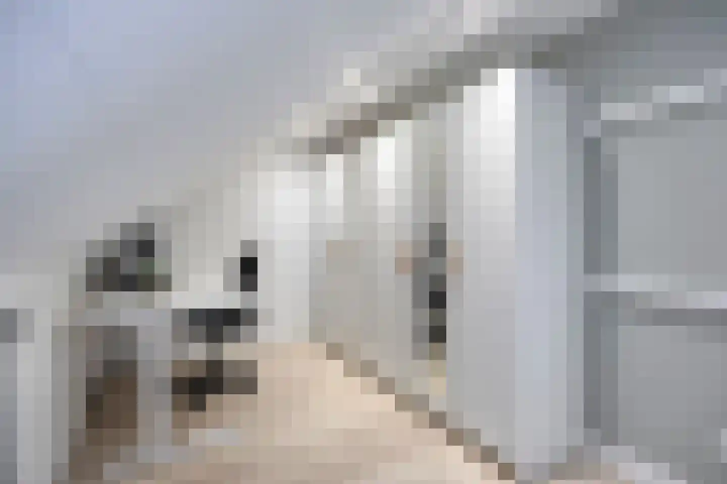 Wasbloem 7 Venray thumbnail 40