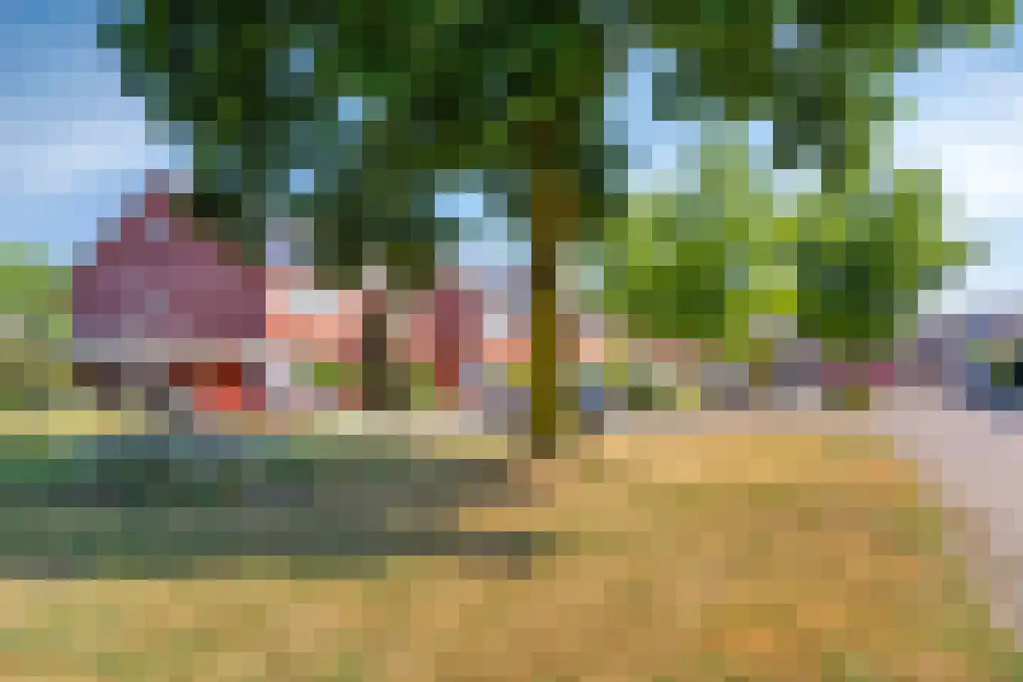 Wasbloem 7 Venray thumbnail 50