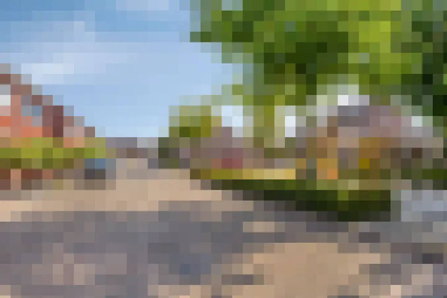 Wasbloem 7 Venray thumbnail 51