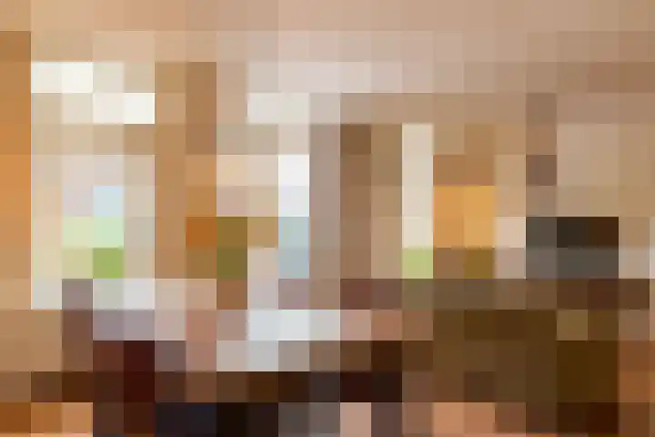 Wasbloem 8 Venray thumbnail 10
