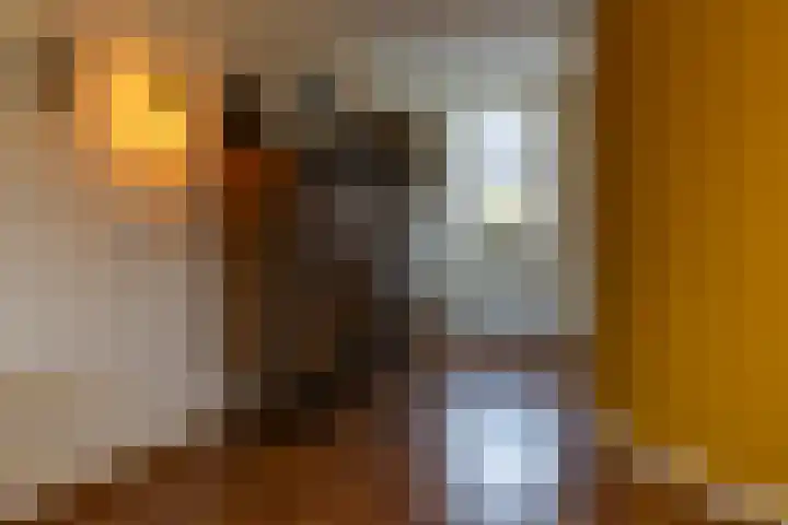 Wasbloem 8 Venray thumbnail 12