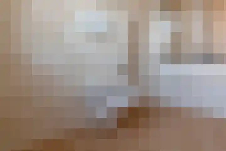 Wasbloem 8 Venray thumbnail 28