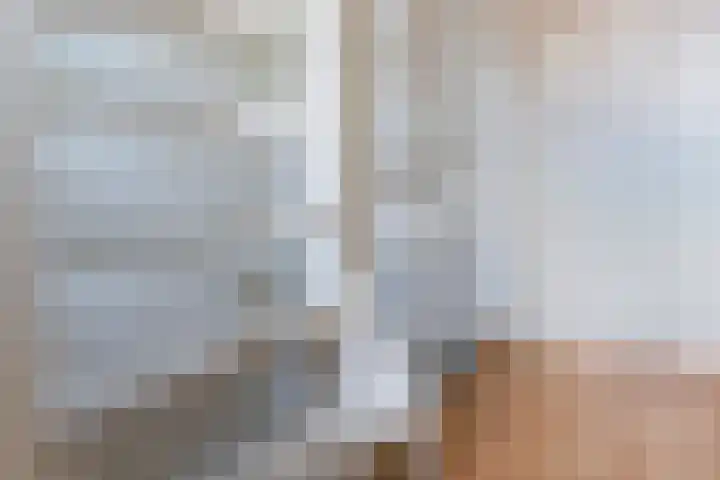 Wasbloem 8 Venray thumbnail 30
