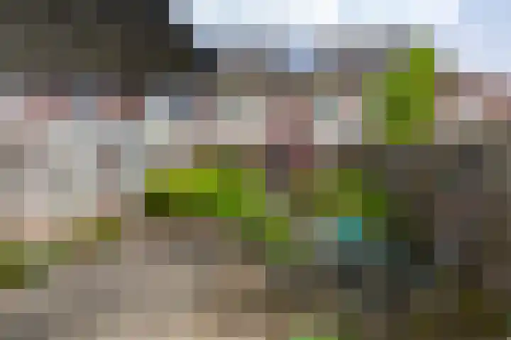 Wasbloem 8 Venray thumbnail 33