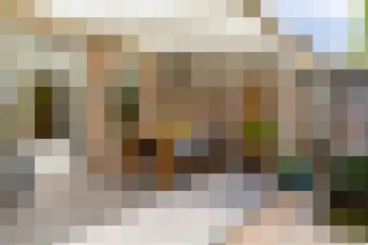 Wasbloem 8 Venray thumbnail 39