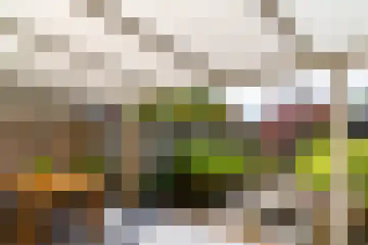 Wasbloem 8 Venray thumbnail 41